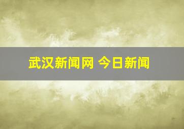 武汉新闻网 今日新闻